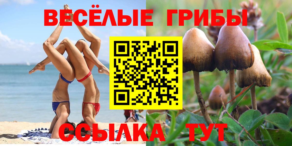 Галлюциногенные грибы MAGIC MUSHROOMS Камышлов